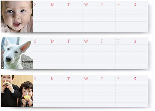 Magnetic Weekly Notepad Trio Magnetic Weekly Notepad Trio