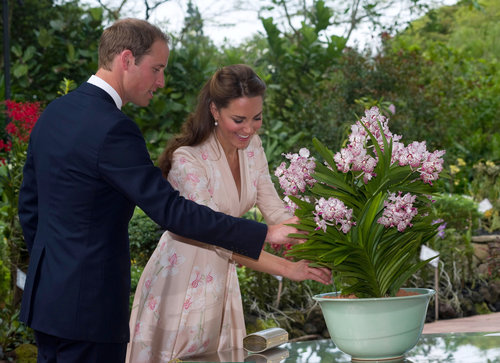 Prince William gave Kate Middleton a helping hand in Singapore in September 2012.
Prince William gave Kate Middleton a helping hand in Singapore in September 2012.
