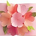 Pop-Up Card
