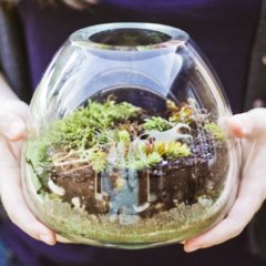 Spring Kids' Crafts