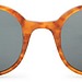 Rounded Cat Eye Sunglasses