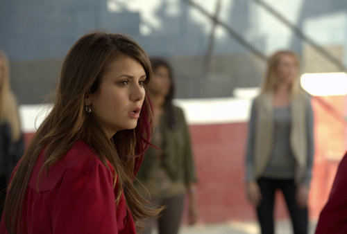 The Vampire Diaries The Vampire Diaries