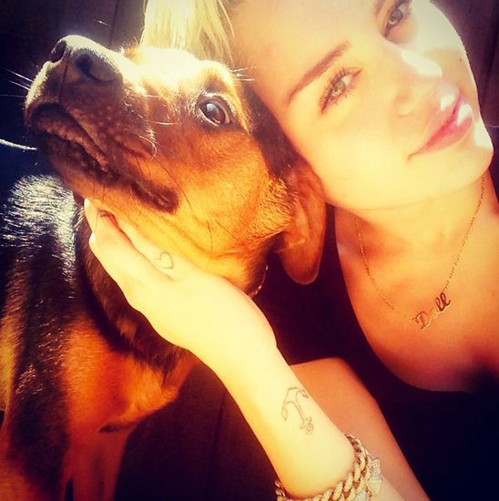 Miley Cyrus Miley Cyrus