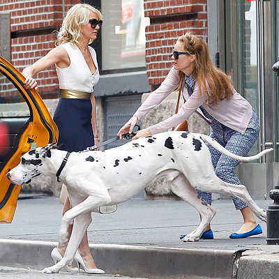 Cameron Diaz and Leslie Mann on Set With a Dog in NYC