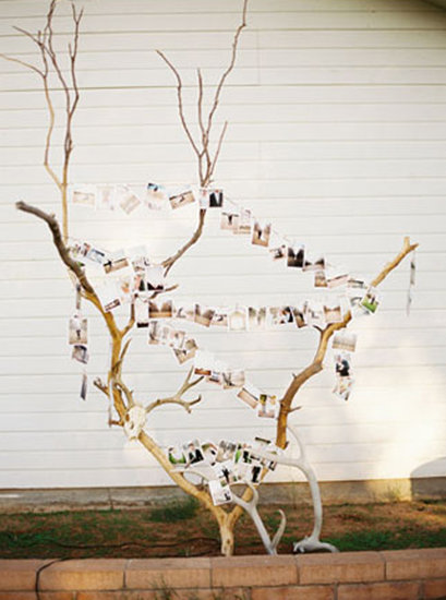 The combo of antlers and pictures make this one photo booth that's both fun and, err, on point.
Photo by Ben Christensen via Green Wedding Shoes
The combo of antlers and pictures make this one photo booth that's both fun and, err, on point.
Photo by Ben Christensen via Green Wedding Shoes