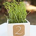 Metallic Chalkboard Table Numbers