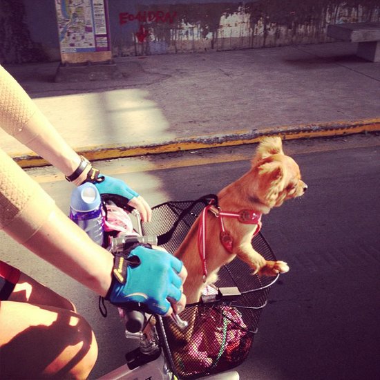 Easy Rider Easy Rider