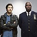Fall TV Shows 2013