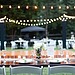 By Creating the Wedding Playlists