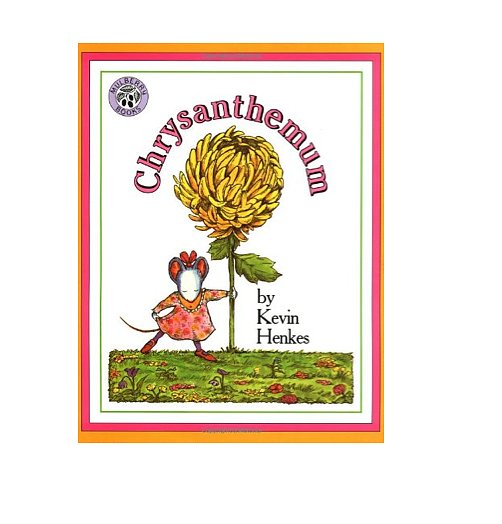 Chrysanthemum Chrysanthemum