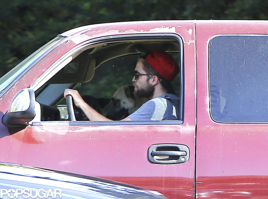 Robert Pattinson and his two dogs were spotted in his car.
Robert Pattinson and his two dogs were spotted in his car.