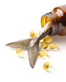 What is Fish Oil and What Are Correct Fish Oil Dosages?