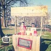 Dog Treat Stand