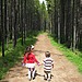 Take a Hike