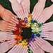 Technicolor Nails
