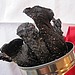 Homemade Jerky