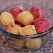 Greek Yogurt and Fruit Pops