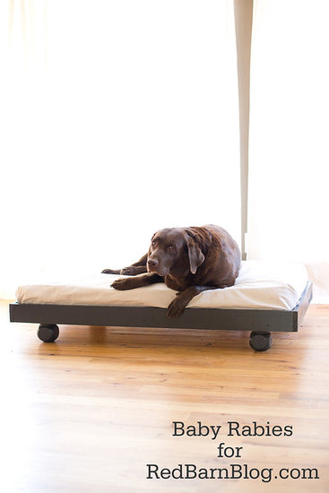 A DIY Dog Bed A DIY Dog Bed