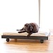A DIY Dog Bed