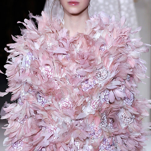 Feathers Feathers