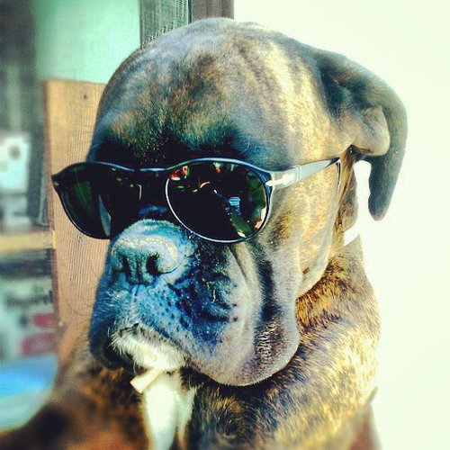 Whatchu Lookin' At? Whatchu Lookin' At?