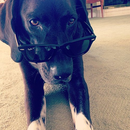 Dude . . . Dude . . .