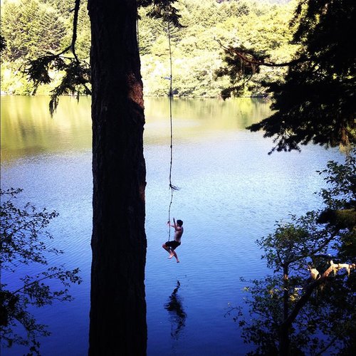Rope Swing Into a Lake Rope Swing Into a Lake