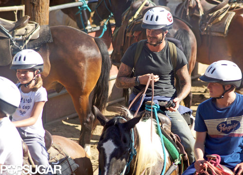 Victoria Beckham Is on a Horse! Victoria Beckham Is on a Horse!