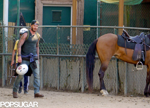 Victoria Beckham Is on a Horse! Victoria Beckham Is on a Horse!
