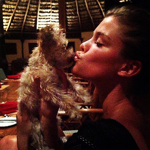Nina Agdal doesn't shy away from bringing her little dog to dinner.
Source: Instagram user ninaagdal
Nina Agdal doesn't shy away from bringing her little dog to dinner.
Source: Instagram user ninaagdal