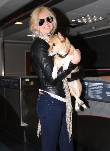Kate Upton travels with her adorable dog, Boots, and has admitted that she often orders room service for the sweet pooch when they stay in hotels.
Kate Upton travels with her adorable dog, Boots, and has admitted that she often orders room service for the sweet pooch when they stay in hotels.