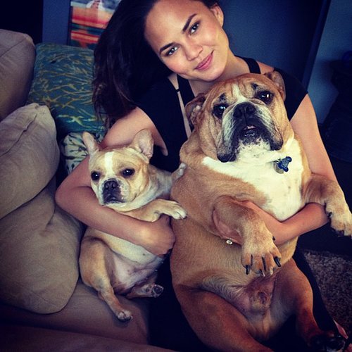 Chrissy Teigen's dogs, Pooey and Puddy, are practically famous — the social media-savvy model is constantly sharing sweet and funny pics of her pups on Instagram.
Source: Instagram user chrissyteigen
Chrissy Teigen's dogs, Pooey and Puddy, are practically famous — the social media-savvy model is constantly sharing sweet and funny pics of her pups on Instagram.
Source: Instagram user chrissyteigen