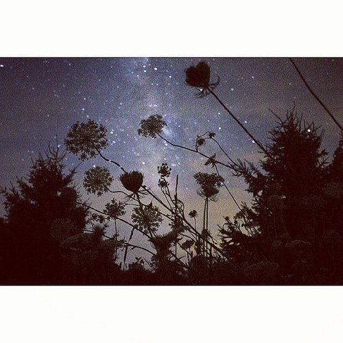 Stargaze From Your Backyard Stargaze From Your Backyard
