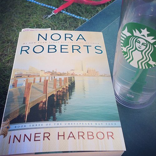 Carpenterlizzy was all about Nora Roberts for her Summer reading.
Carpenterlizzy was all about Nora Roberts for her Summer reading.