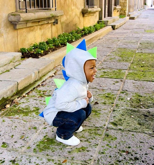 Customized Dino Hoodie ($30)
Customized Dino Hoodie ($30)