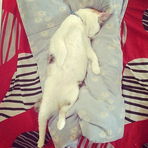 Out Cold Out Cold