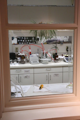 Lab Testing Lab Testing