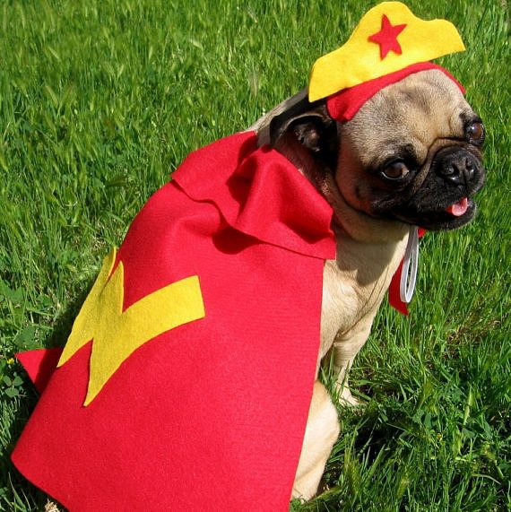 Wonder Woman Wonder Woman