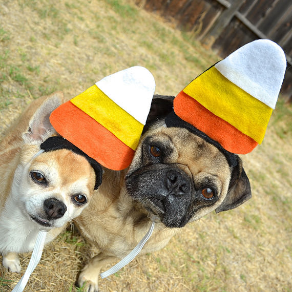 Candy Corn Candy Corn