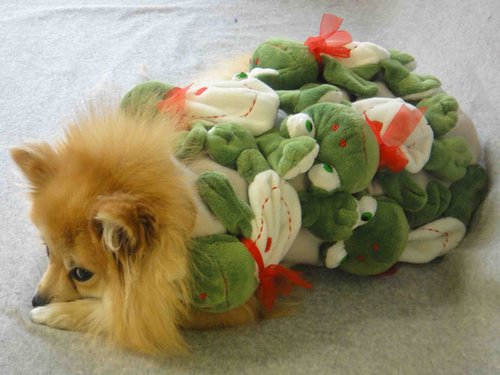 Lady Gaga Frog Costume Lady Gaga Frog Costume