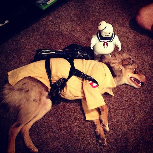 Ghostbusters Ghostbusters