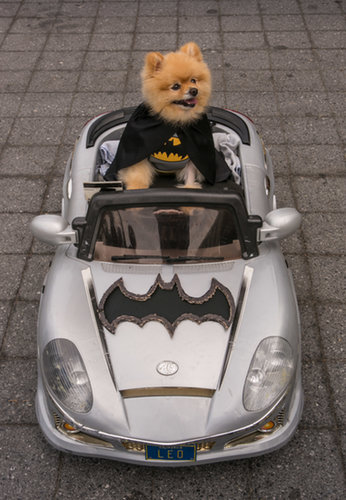 Batman Batman