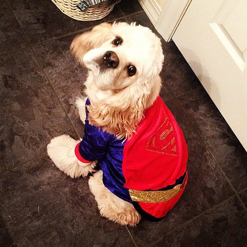 Superman Superman
