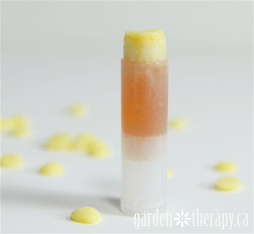 Manuka Honey Lip Balm Manuka Honey Lip Balm