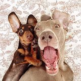 Harlow and Sage | Instagram Harlow and Sage | Instagram