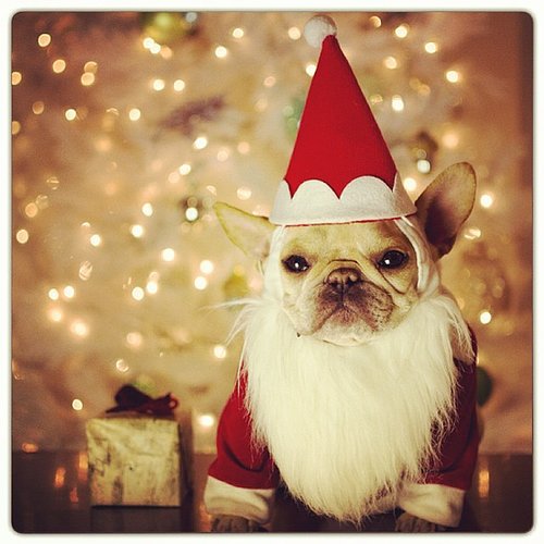 Santa's Little Helper Santa's Little Helper