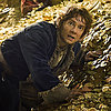 The Hobbit Scores at the Box Office