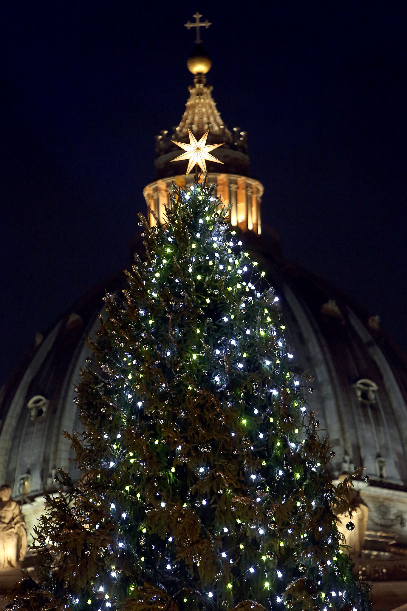 a 25 meter christmas tree lit up st peter s square in a 25 meter christmas tree lit up st peter s square in