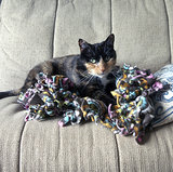 DIY Pet Blanket DIY Pet Blanket