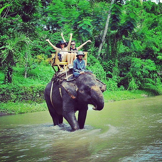 Ride an Elephant Ride an Elephant